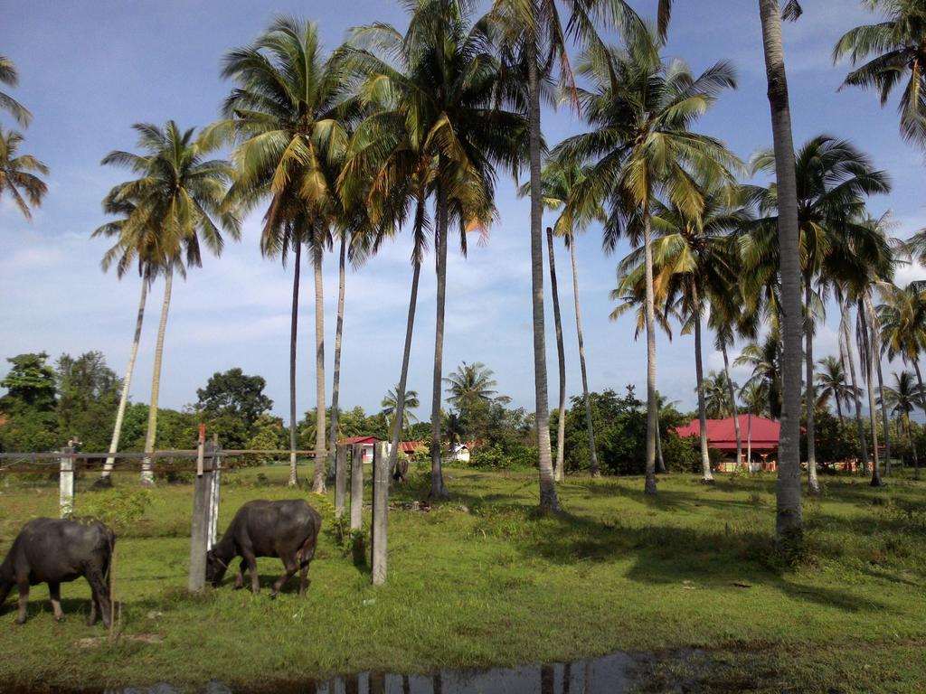 The Village Langkawi Pantai Cenang  Εξωτερικό φωτογραφία